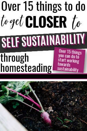 19 passi pratici verso l autosostenibilità per gli homesteader 