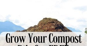 Materiali per compost gratuiti:6 modi inaspettati per aumentare la tua pila 