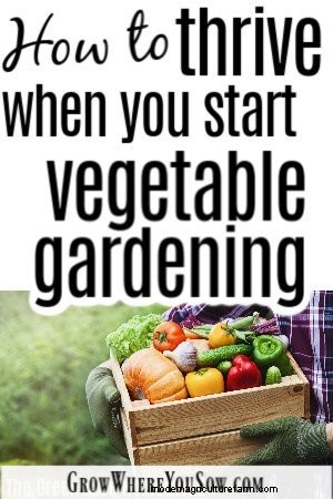 Beginnersgids voor moestuinieren:tips voor succes 