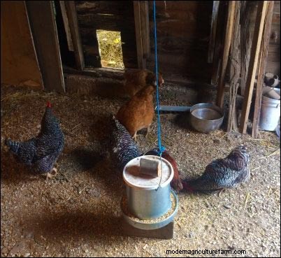 Preparazione invernale della fattoria:prendersi cura dei propri animali - Parte 3 