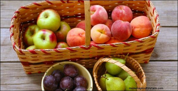 Lanzar una CSA exitosa:una guía completa para agricultores 