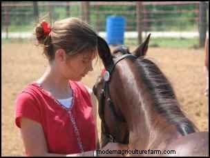Adoptar caballos de rescate:una guía para encontrar su compañero perfecto 