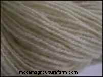 Babydoll Southdown Sheep:animales de fibra encantadores y suaves 