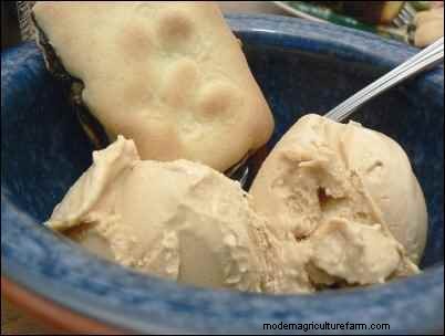 Recetas y productos de leche de cabra:usos deliciosos de la leche de cabra 