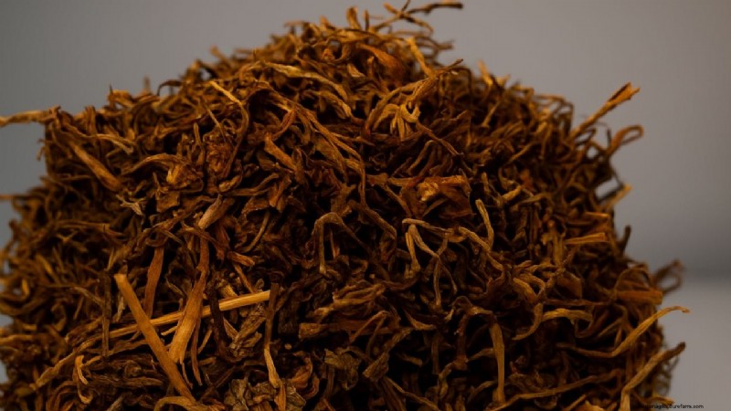 Jimbu:Himalaya-Kraut, kulturelle Tradition und Stärkung der Landwirte 