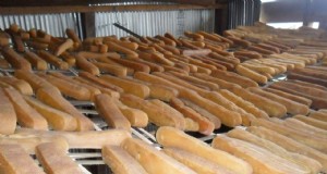 Chhurpi:tradizione del formaggio himalayano, nutrizione e responsabilizzazione degli agricoltori 