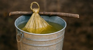 Beejamrit:trattamento naturale delle sementi per una migliore germinazione e salute del suolo 