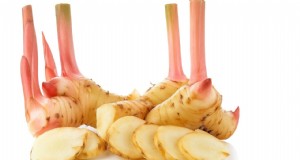 Agricoltura Galangal:una coltura redditizia per l agricoltura sostenibile 