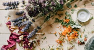 Coltivazione di fiori secchi in India:un’opportunità redditizia per gli agricoltori 