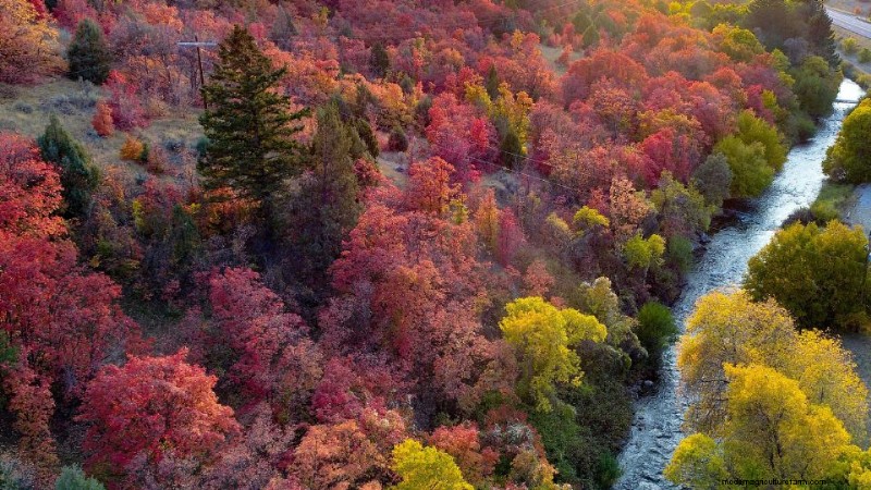 Paisagismo Water-Wise de Utah:Políticas e Programas para Conservação 