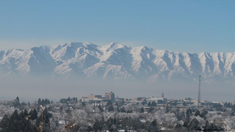 Paisagismo Water-Wise de Utah:Políticas e Programas para Conservação 