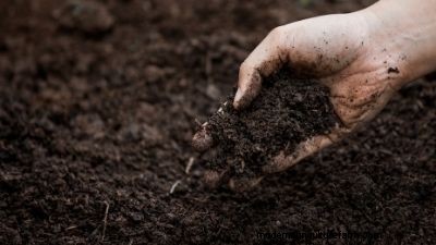 Gezonde tuingrond:voorbereiding en verbetering van de bodemkwaliteit in Utah 