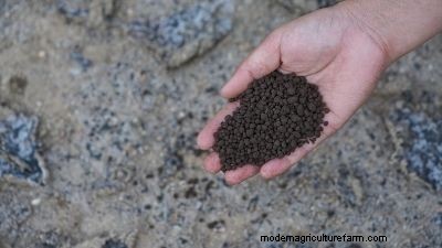 有機肥料:植物の健全な成長へのガイド 