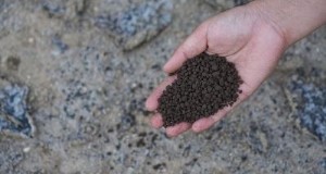 Fertilizzanti organici:una guida per una crescita sana delle piante 