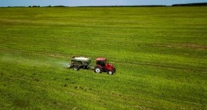Anorganische meststoffen kiezen en toepassen voor gezonde planten 