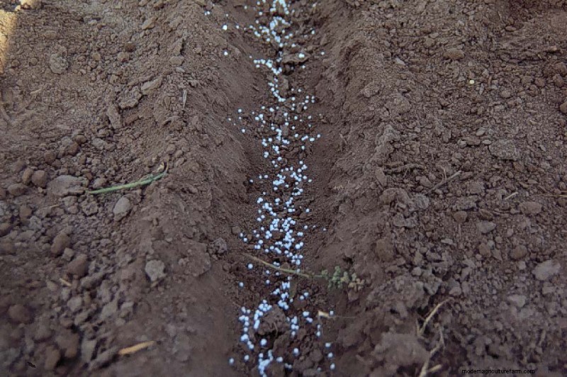 Anorganische meststoffen kiezen en toepassen voor gezonde planten 