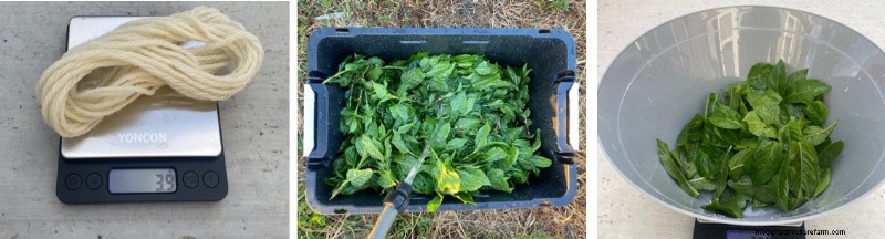 Tintura indaco giapponese:dal giardino al tessuto:una guida completa 