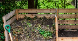 Fall Leaf Mulch:voordelen en instructies voor een gezonde tuin 
