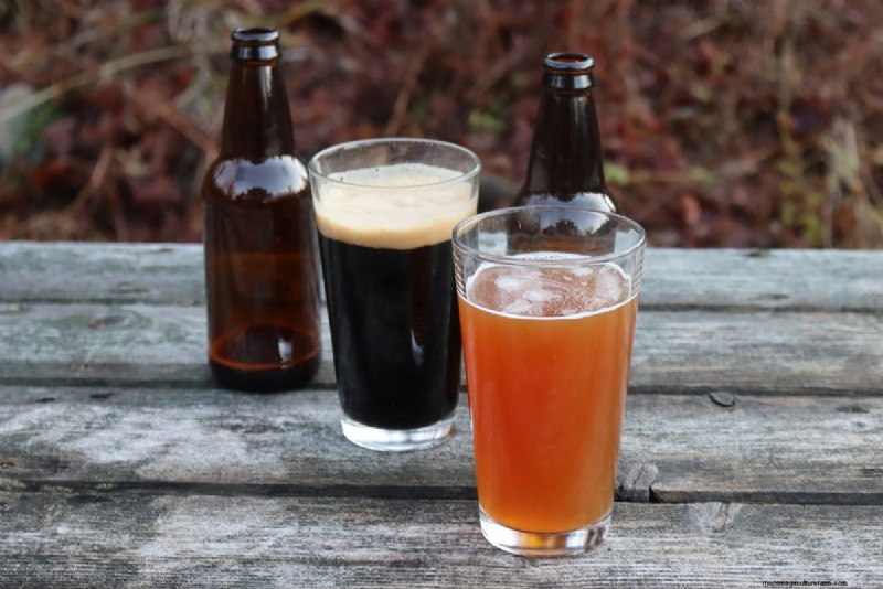 Grow Hop:een complete gids voor thuisbrouwers 