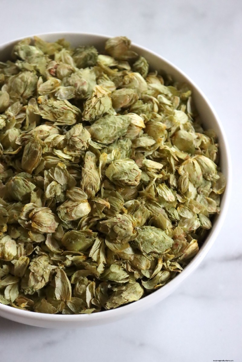 Grow Hop:een complete gids voor thuisbrouwers 