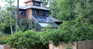 Topplanten voor verhoogde bedden:wat u moet laten groeien en vermijden 