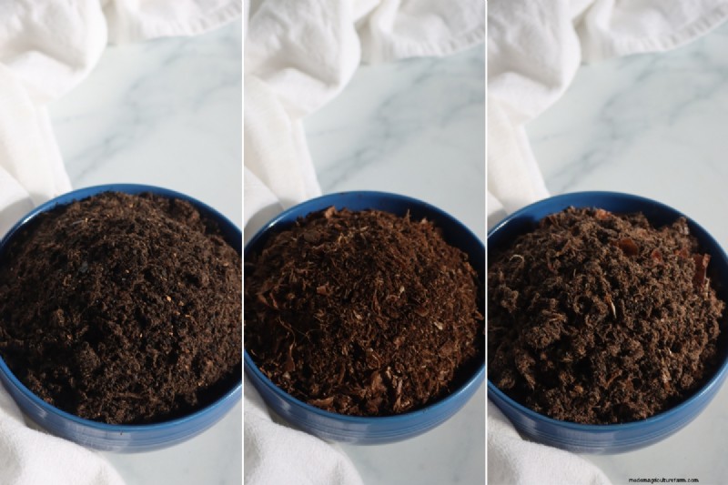 Compostaggio da banco:una guida per principianti agli alimenti vegetali ricchi di sostanze nutritive 