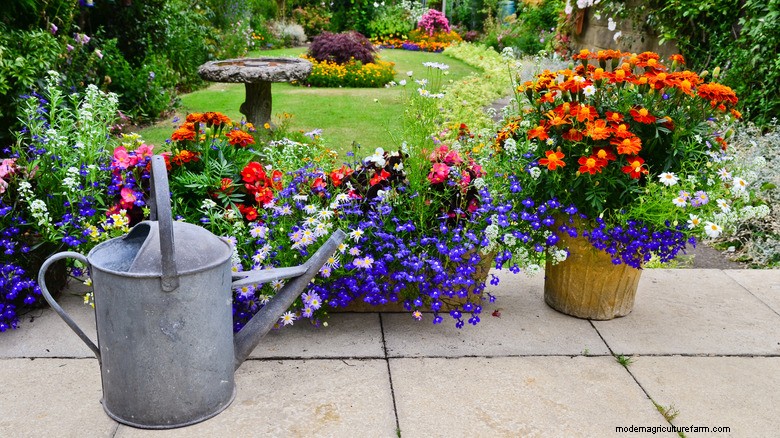Eleganti vasche per uccelli e decorazioni per il patio | Amazon trova 