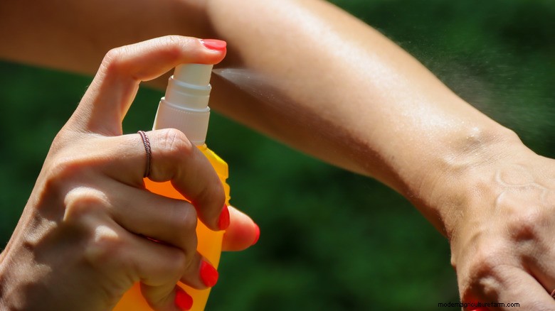 Natürlicher Zeckenschutz:Eine einfache pflanzliche Lösung für warmes Wetter 