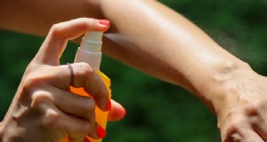 Natürlicher Zeckenschutz:Eine einfache pflanzliche Lösung für warmes Wetter 