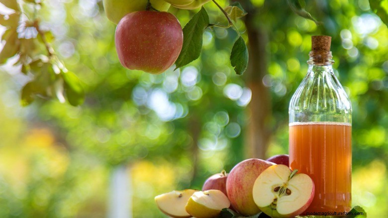 Natuurlijke afschrikmiddelen voor eekhoorns:een voorraadkast voor tuinbescherming 