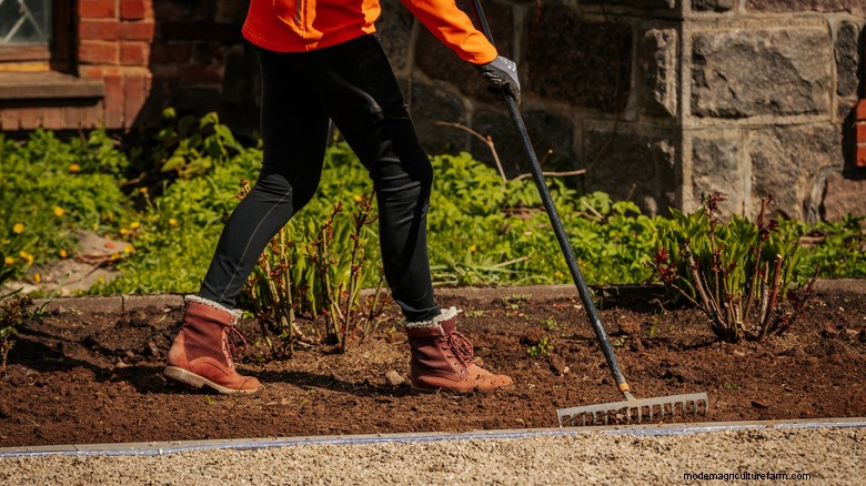 Alternative sostenibili al pacciame:tendenze paesaggistiche ecocompatibili 