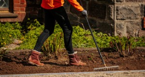 Alternative sostenibili al pacciame:tendenze paesaggistiche ecocompatibili 