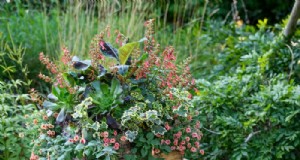 Schöne Sommer-Container-Gartenideen | [Ihr Markenname] 