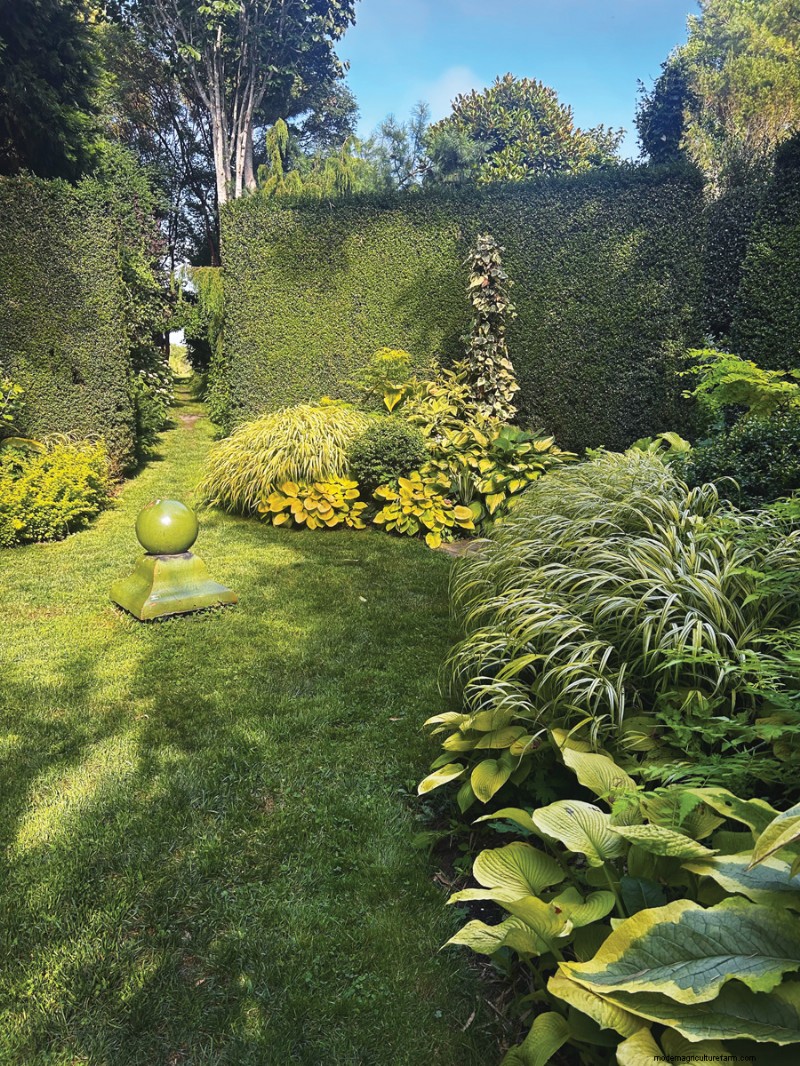 Hedge Gardening:een uitgebreide gids voor planten en onderhoud 