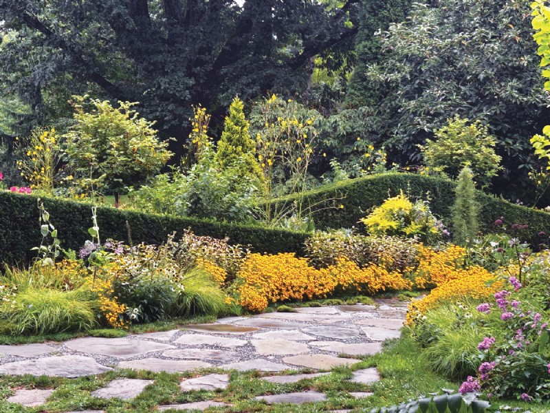 Hedge Gardening:een uitgebreide gids voor planten en onderhoud 