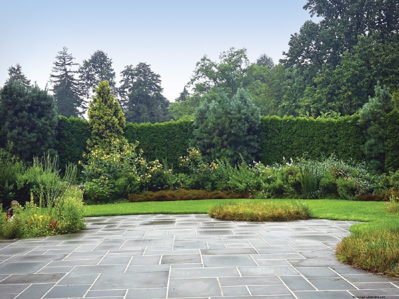 Hedge Gardening:een uitgebreide gids voor planten en onderhoud 