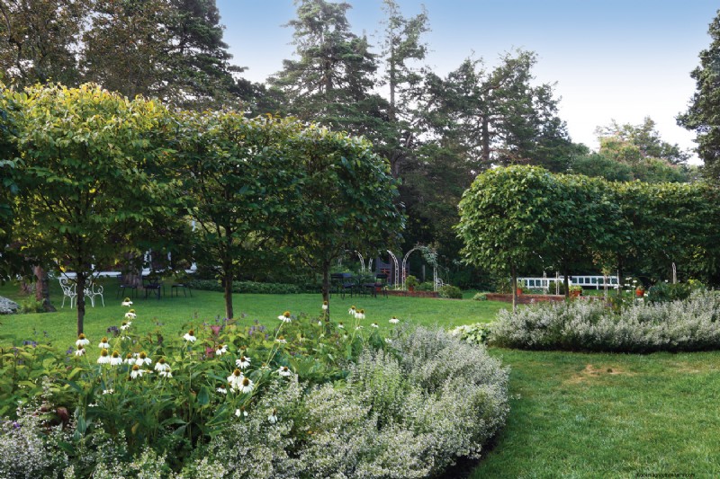 Hedge Gardening:een uitgebreide gids voor planten en onderhoud 