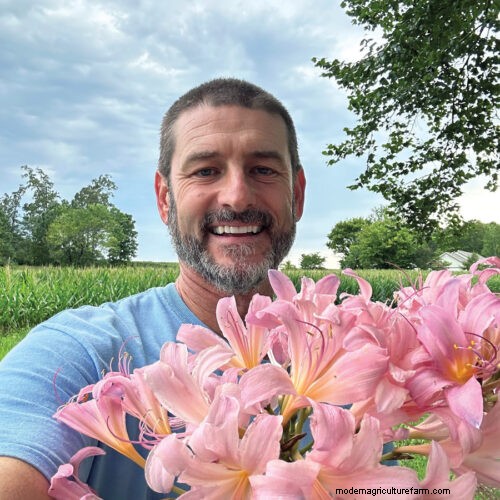 Piante di facile manutenzione per [la tua regione]:giardini rigogliosi con il minimo sforzo 