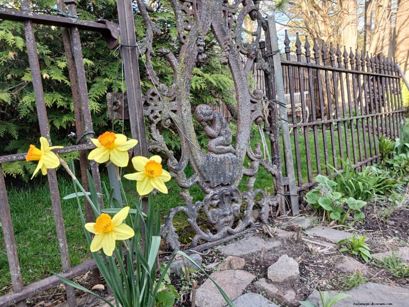 La primavera fiorisce a New York:aggiornamento del colorato giardino di Lee 