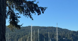 Samen tuinen transformeren:een moeder-dochter tuinierproject in British Columbia 