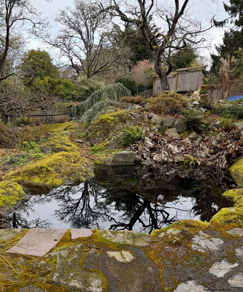 アブハジ庭園：ブリティッシュコロンビア州ビクトリアの隠れたビクトリア朝の宝石 