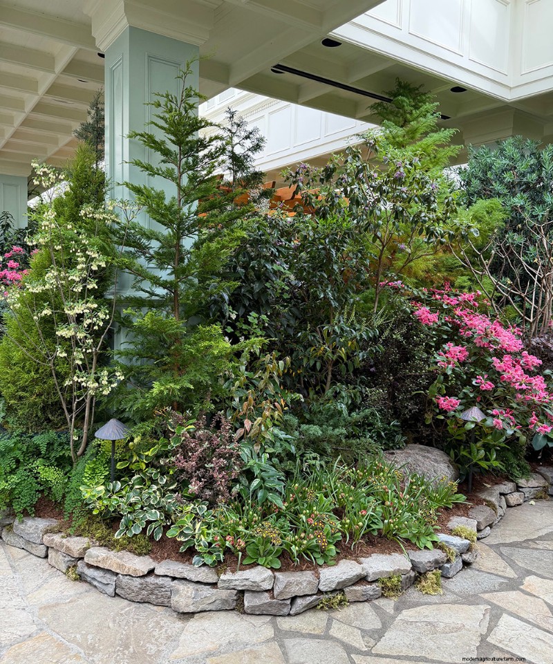 Preludio de primavera de los Jardines Butchart:una mirada final (Parte 2) 
