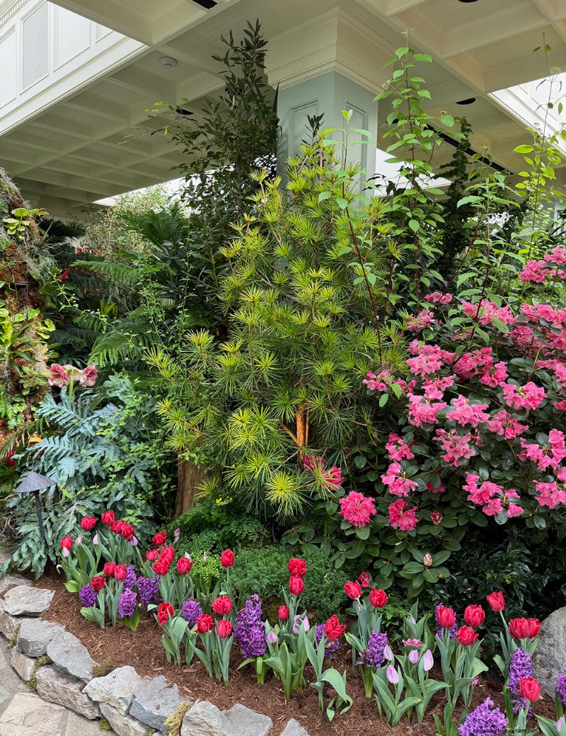 Preludio de primavera de los Jardines Butchart:una mirada final (Parte 2) 