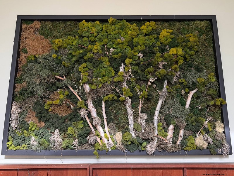 Preludio de primavera de los Jardines Butchart:una mirada final (Parte 2) 