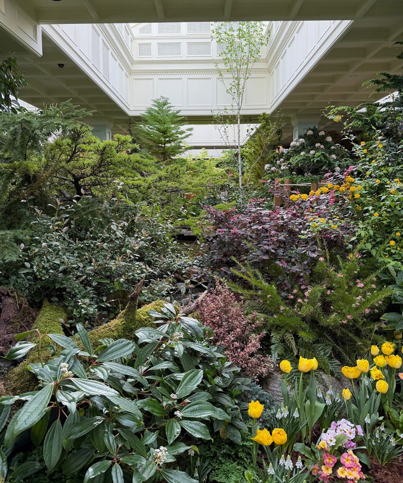 Preludio de primavera de los Jardines Butchart:una mirada final (Parte 2) 