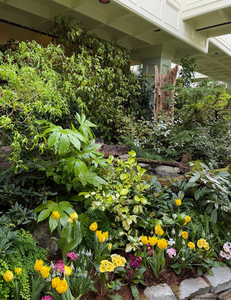 Preludio de primavera de los Jardines Butchart:una mirada final (Parte 2) 