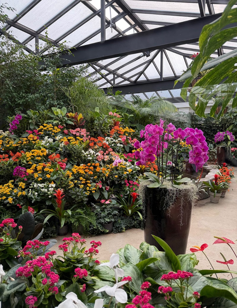 Preludio primaverile di Butchart Gardens:una straordinaria anteprima delle fioriture primaverili 