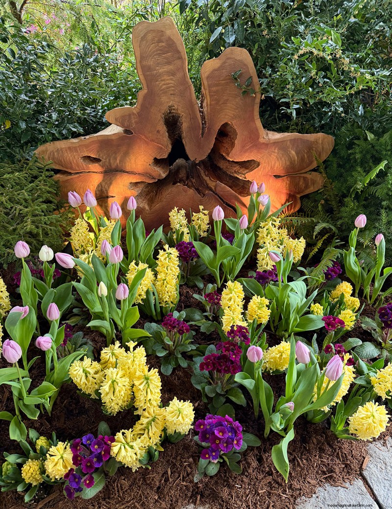 Preludio primaverile di Butchart Gardens:una straordinaria anteprima delle fioriture primaverili 