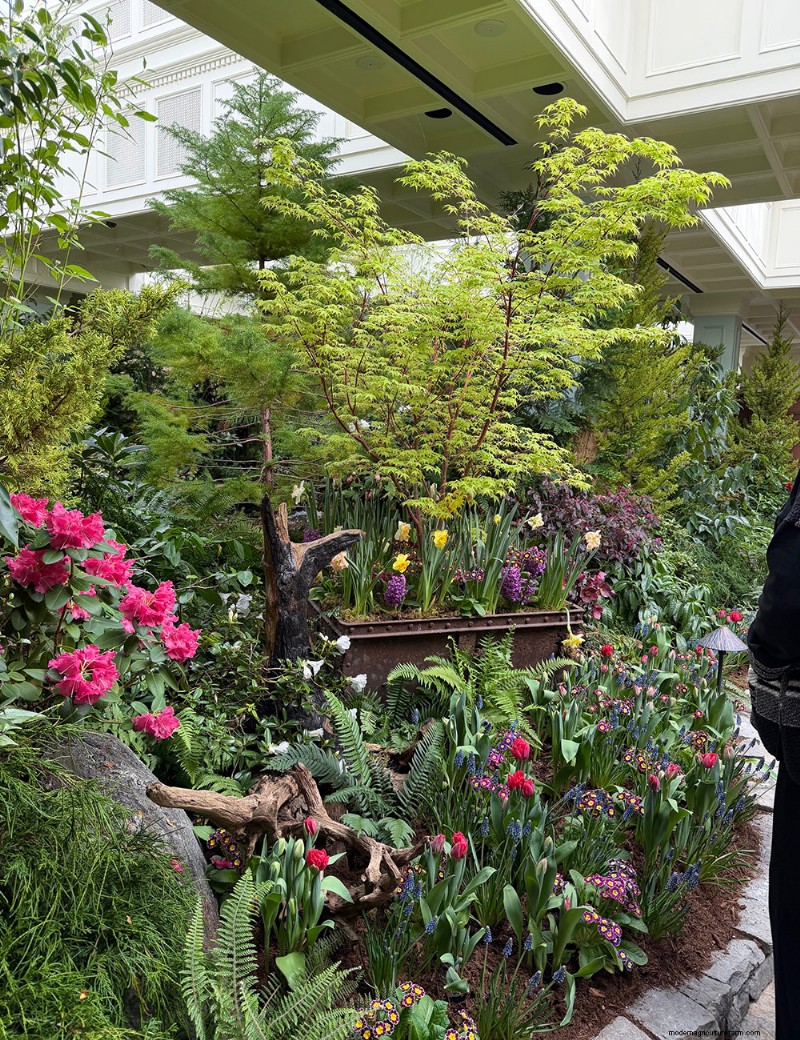 Preludio primaverile di Butchart Gardens:una straordinaria anteprima delle fioriture primaverili 