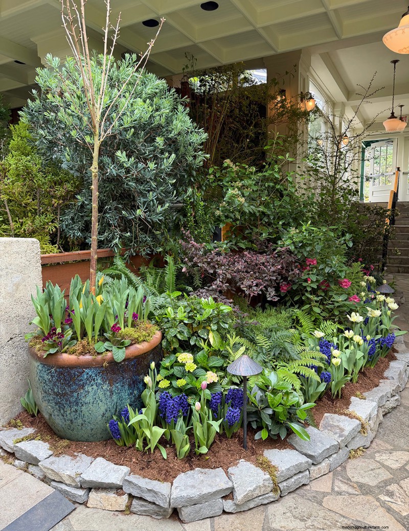 Preludio primaverile di Butchart Gardens:una straordinaria anteprima delle fioriture primaverili 